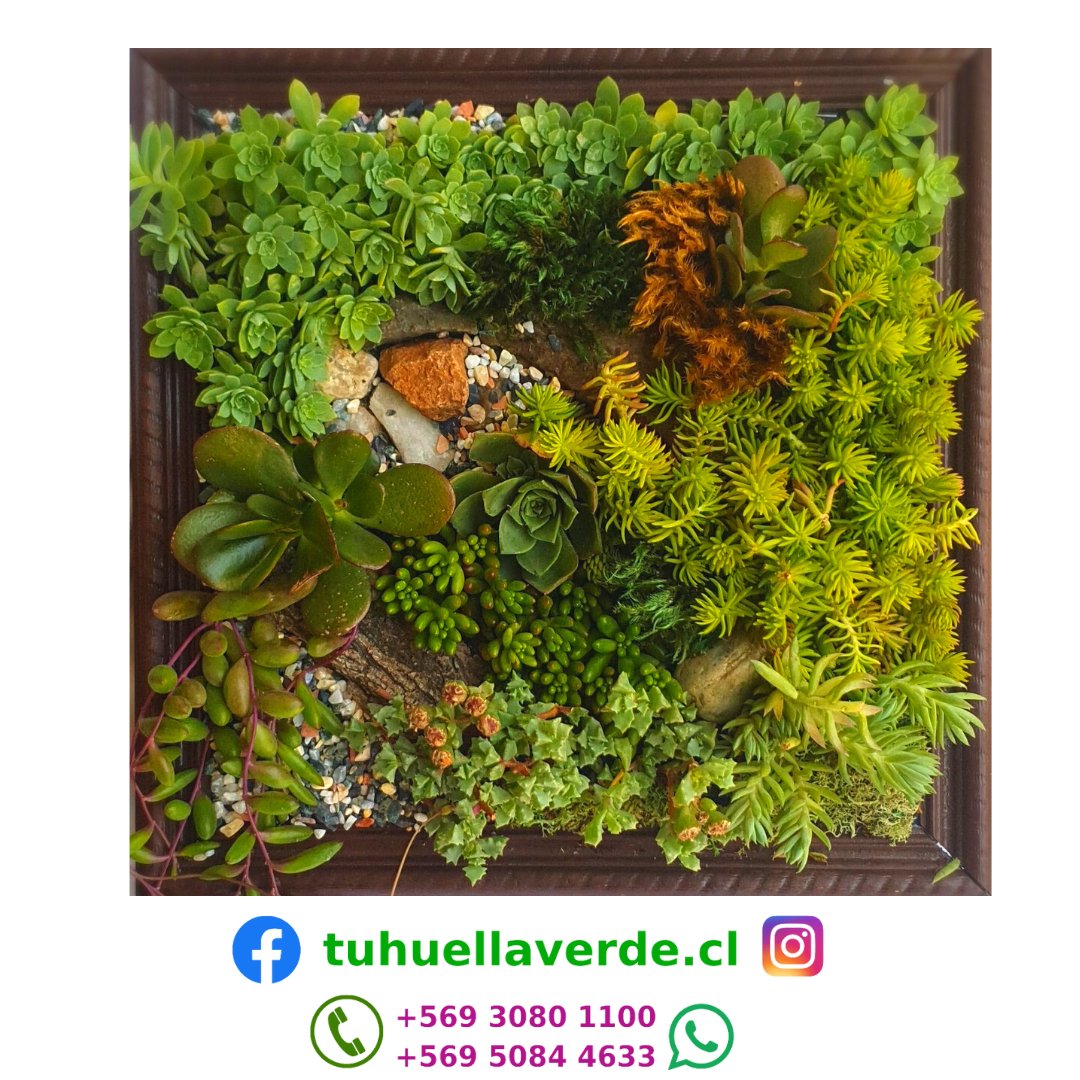 25_20221201_215601_0024